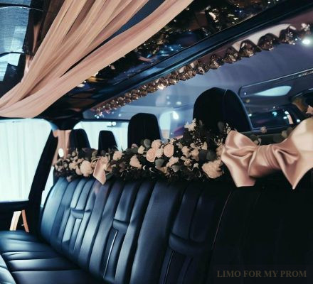 Prom Limo vs. Party Bus: Which is the Perfect Fit for Your Group?